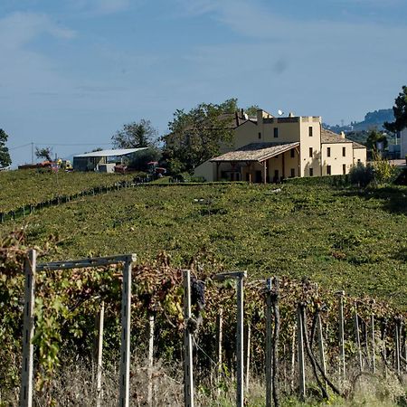 Masseria Del Vino ลอเรโต อาปรุนติโน ภายนอก รูปภาพ
