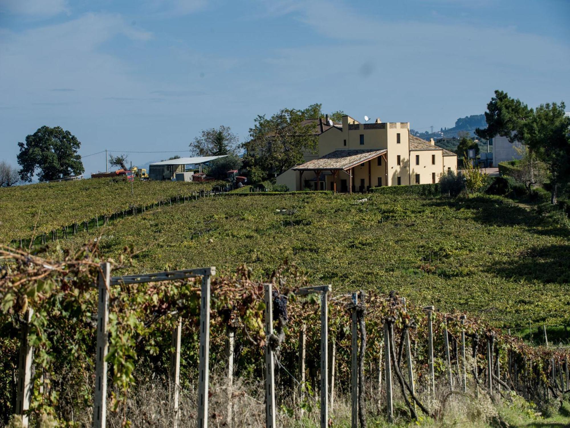 Masseria Del Vino ลอเรโต อาปรุนติโน ภายนอก รูปภาพ