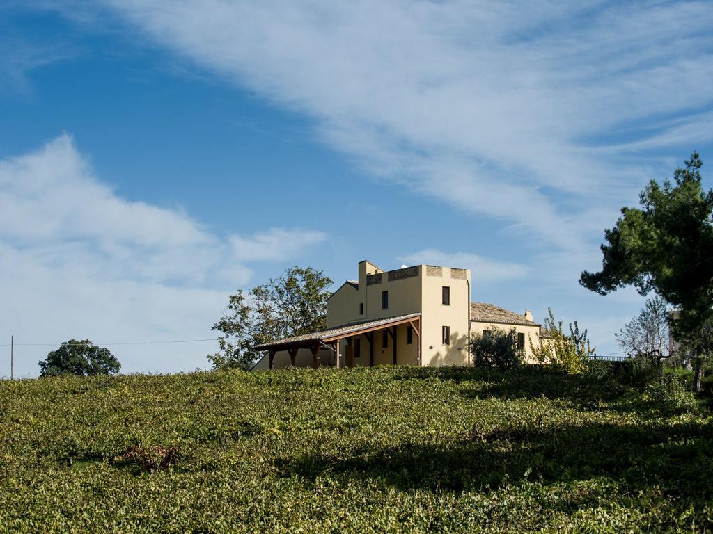 Masseria Del Vino ลอเรโต อาปรุนติโน ภายนอก รูปภาพ