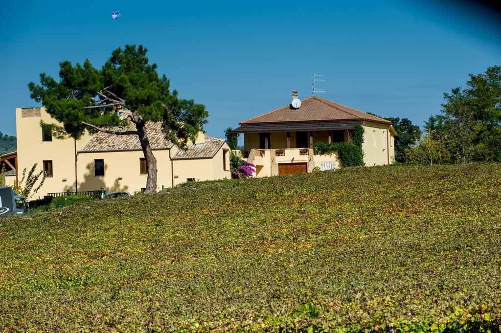 Masseria Del Vino ลอเรโต อาปรุนติโน ภายนอก รูปภาพ
