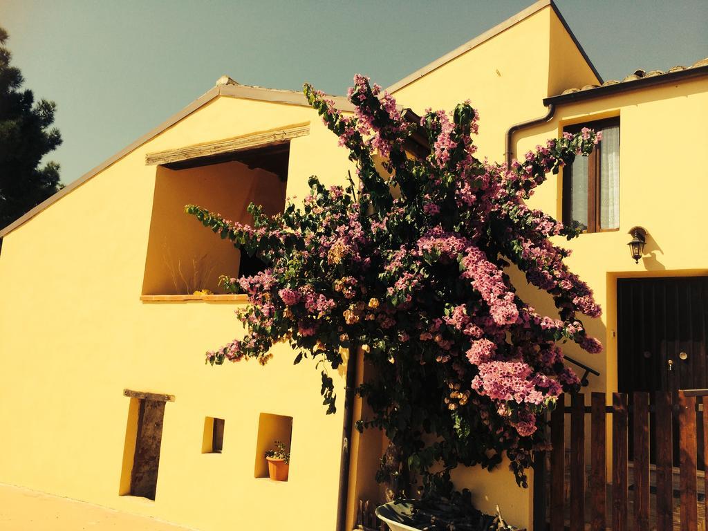 Masseria Del Vino ลอเรโต อาปรุนติโน ภายนอก รูปภาพ