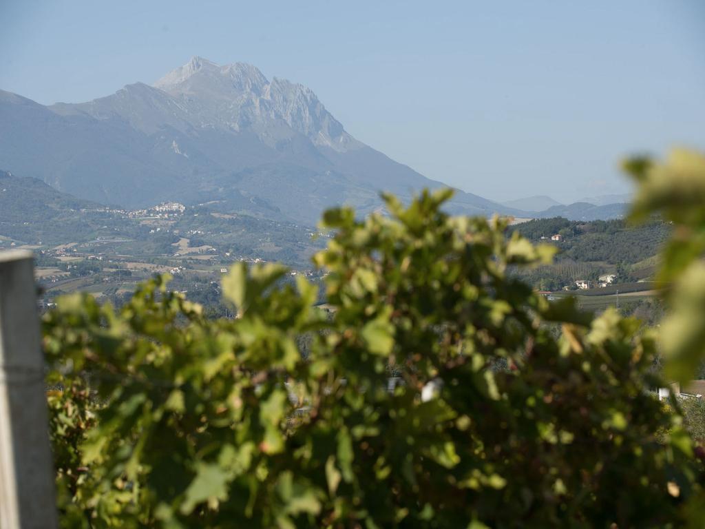 Masseria Del Vino ลอเรโต อาปรุนติโน ภายนอก รูปภาพ