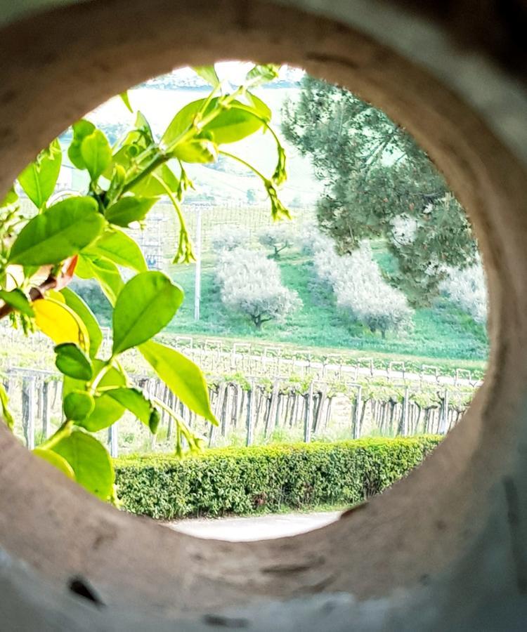 Masseria Del Vino ลอเรโต อาปรุนติโน ภายนอก รูปภาพ