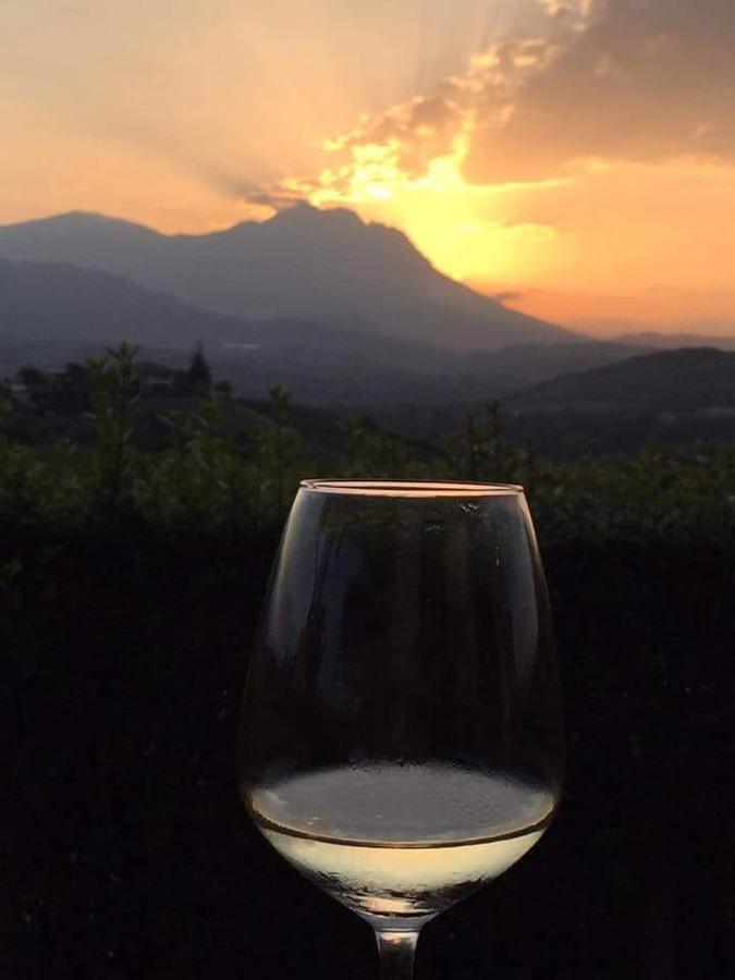 Masseria Del Vino ลอเรโต อาปรุนติโน ภายนอก รูปภาพ