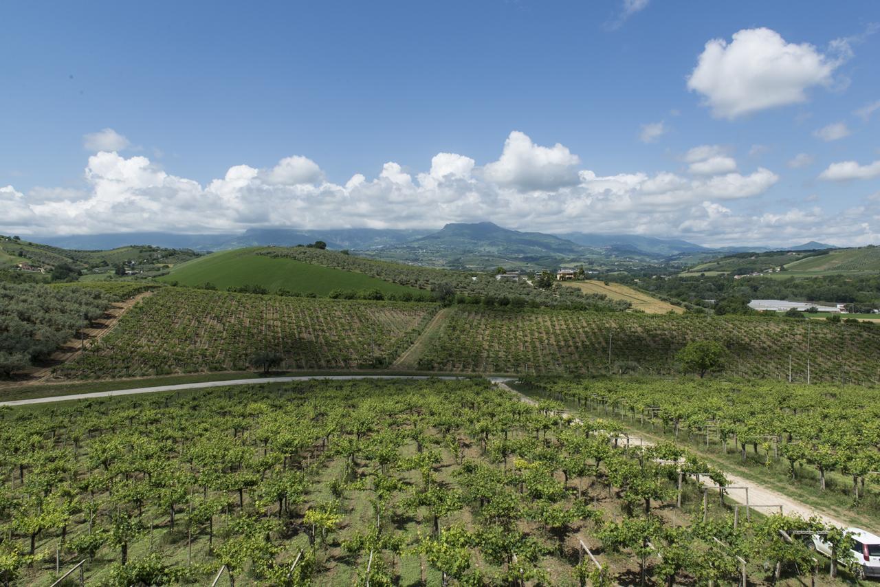 Masseria Del Vino ลอเรโต อาปรุนติโน ภายนอก รูปภาพ